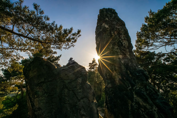 Low angle view of sunlight streaming through rocks