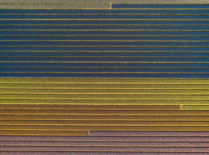Aerial view of agricultural landscape