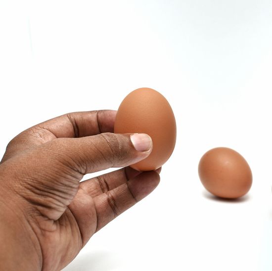 Close-up of hand holding egg against white background