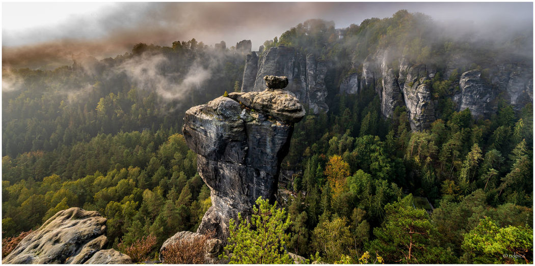 Panoramic view of rock formations in forest