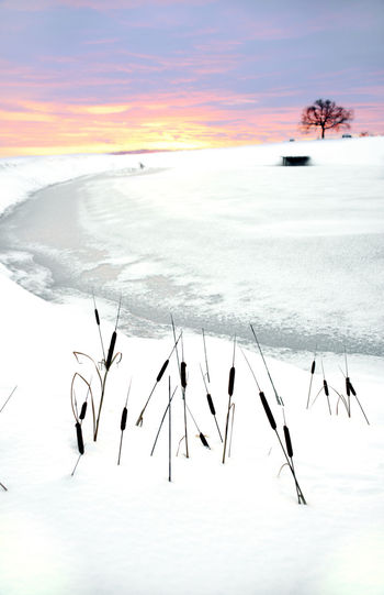 Scenic view of frozen sea during sunset