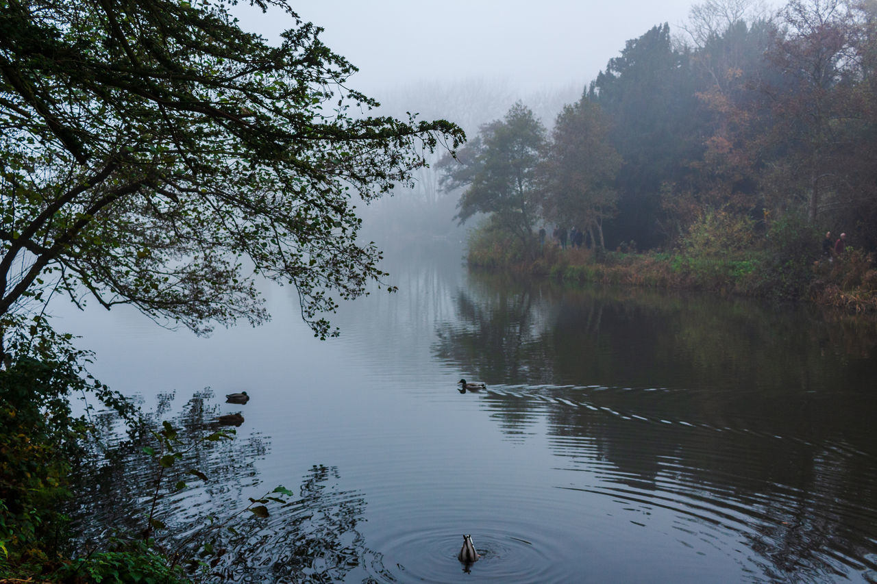 VIEW OF A LAKE