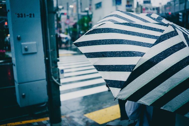 Close-up of person with umbrella on zebra crossing in city