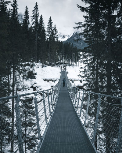 Snow covered footbridge amidst trees in forest