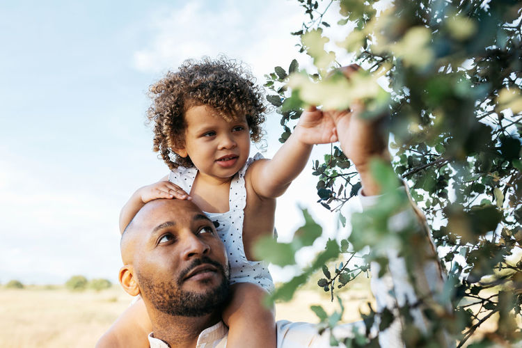 African american father and curious little daughter touching tree leaves in countryside in summer