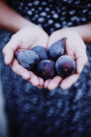 Fresh figs in hands