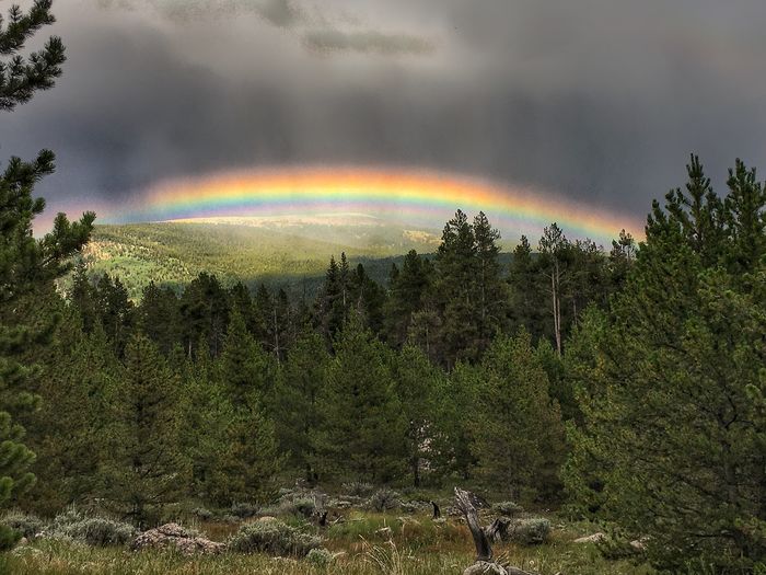 rainbow