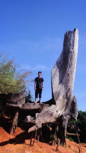 Man standing on wood against blue sky