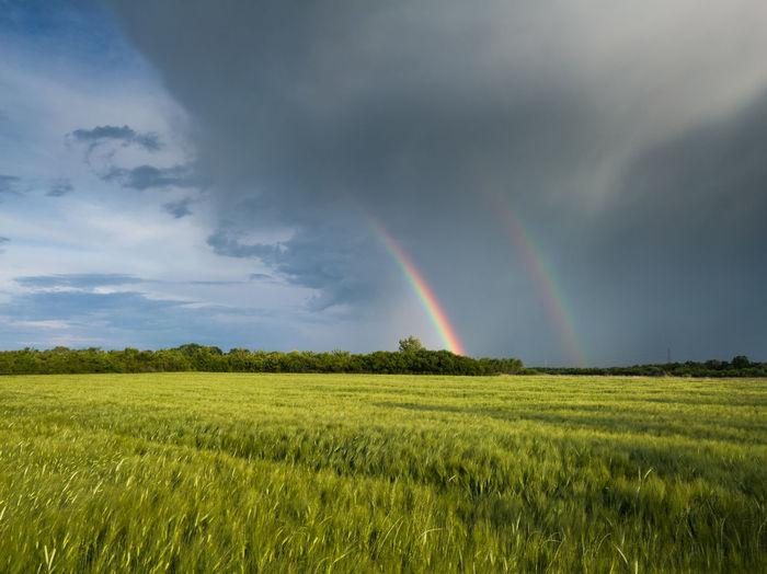 Scenic view of rainbow over field