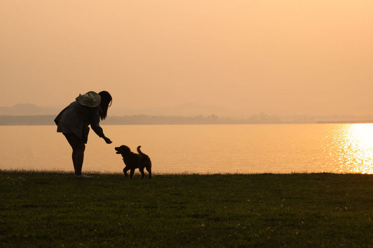 Rear view of man with dogs on field against sky during sunset