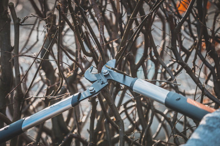 Cropped image of person holding pliers against bare tree