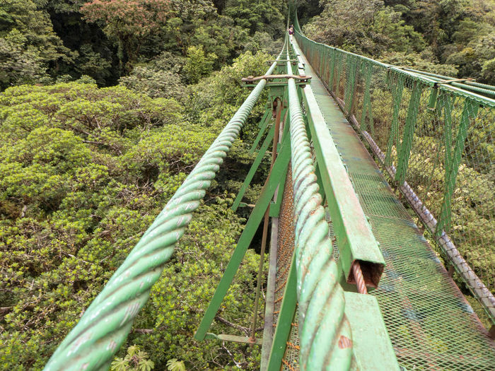  rainforest of costa rica ßfrom the cloud forest of santa elena. hike over of suspension bridges