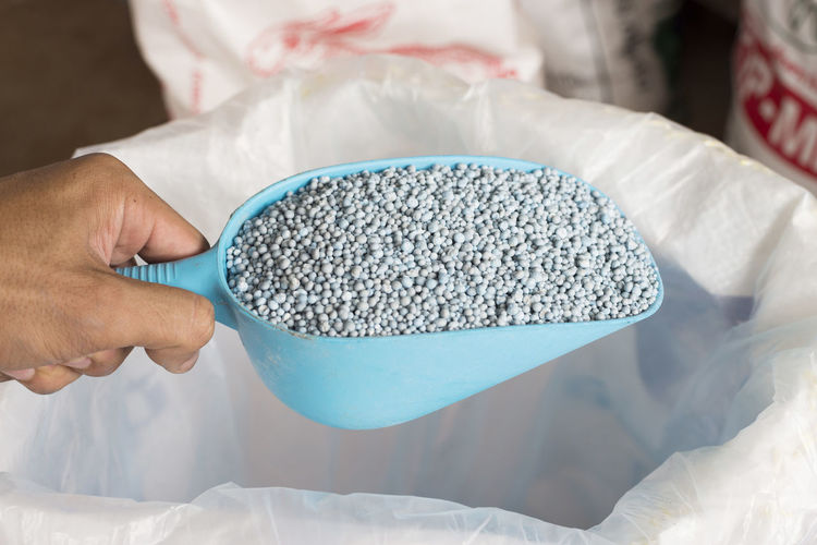 Close-up of hand holding fertilizer in spatula
