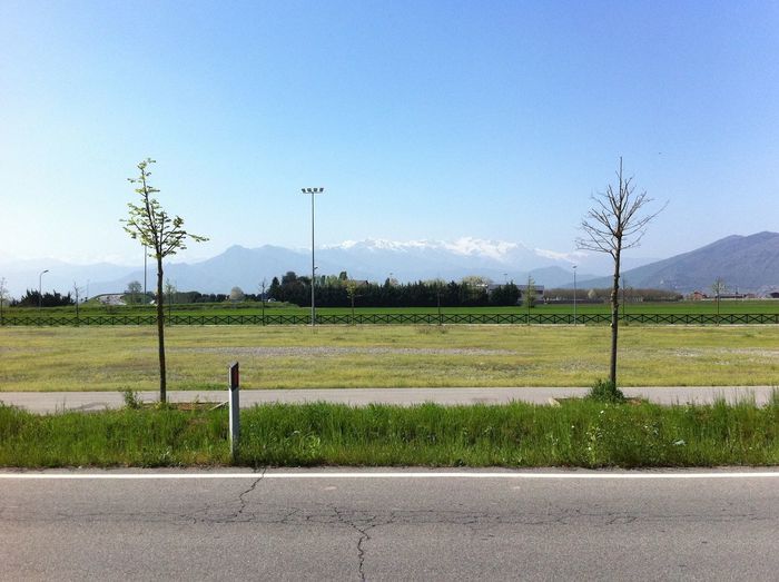 Trees on grassy field against cloudy sky