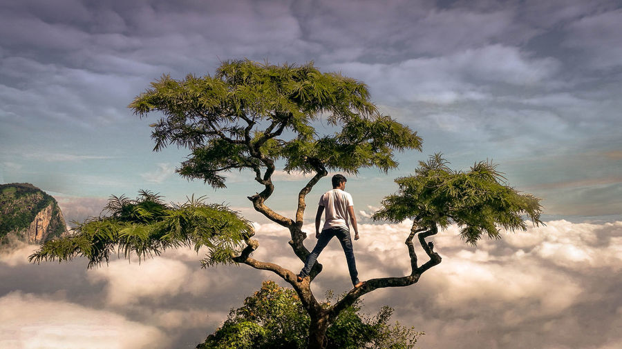 Rear view of man standing on tree against cloudy sky