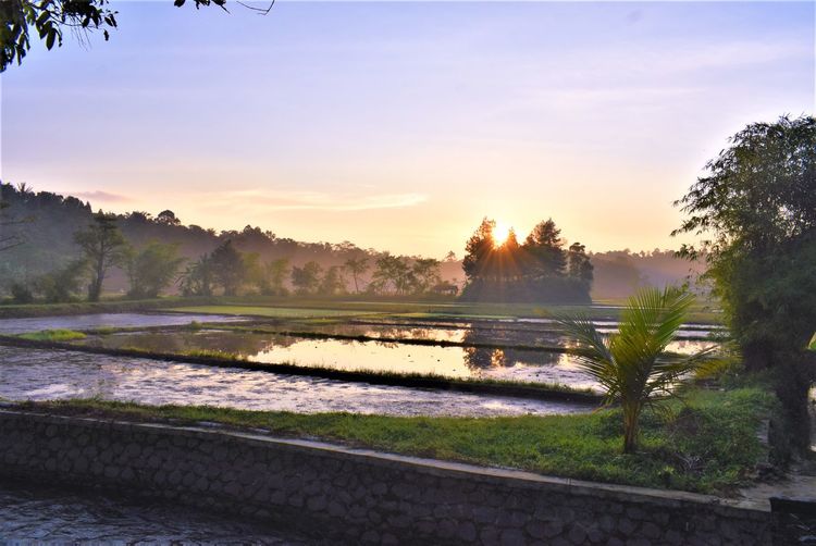 Scenic view of lake against sky during sunset
