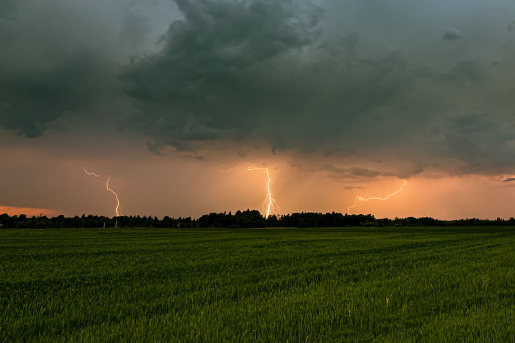 Late evening summer storm with lightning bolts near horizon