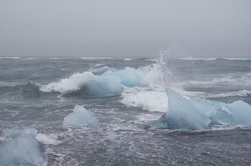 Scenic view of sea with icebergs against sky