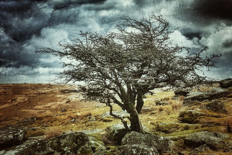 Scenic view of landscape against cloudy sky