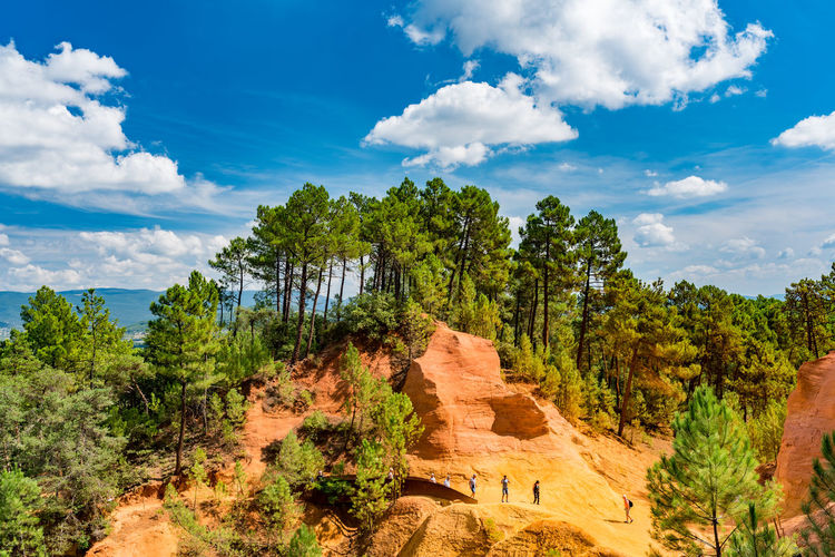 Panoramic view of trees on rock formation against sky