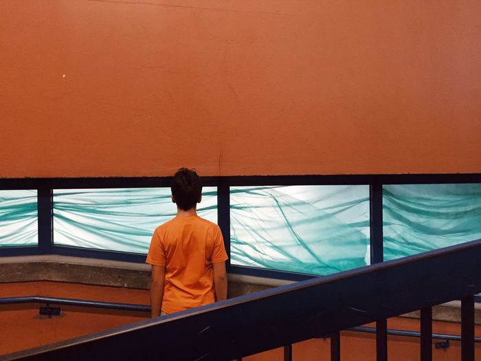 Rear view of boy looking through covered windows