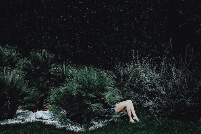 Low section of person lying against plants on field