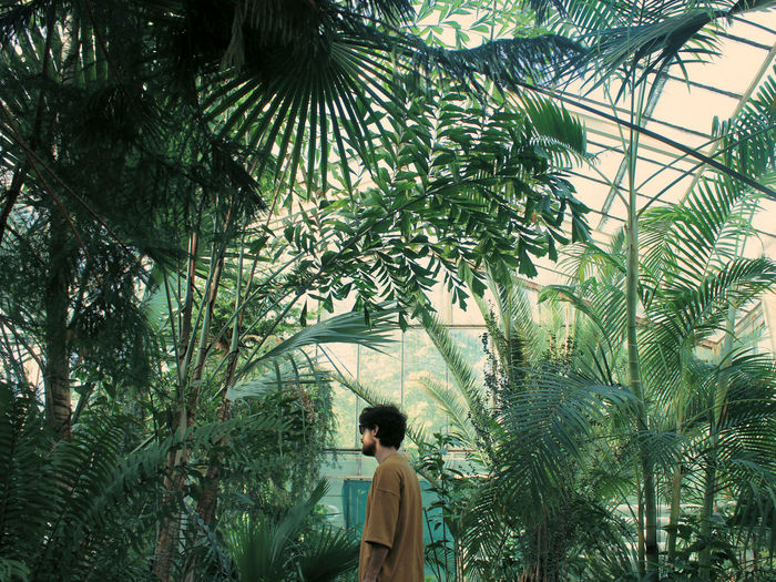 Side view of man standing in greenhouse