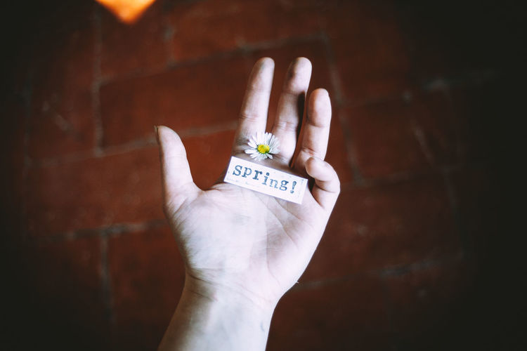 Close-up of human hand holding text with white flower