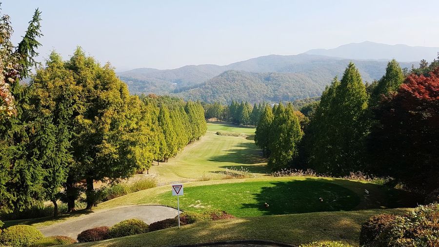 Scenic view of golf course against clear sky