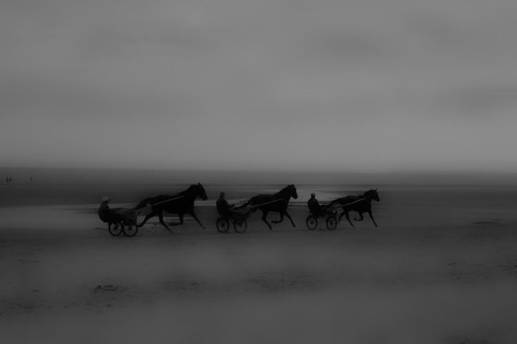 Horse carts on beach against sky