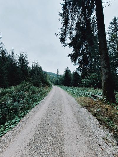 Dirt road along trees and plants against sky