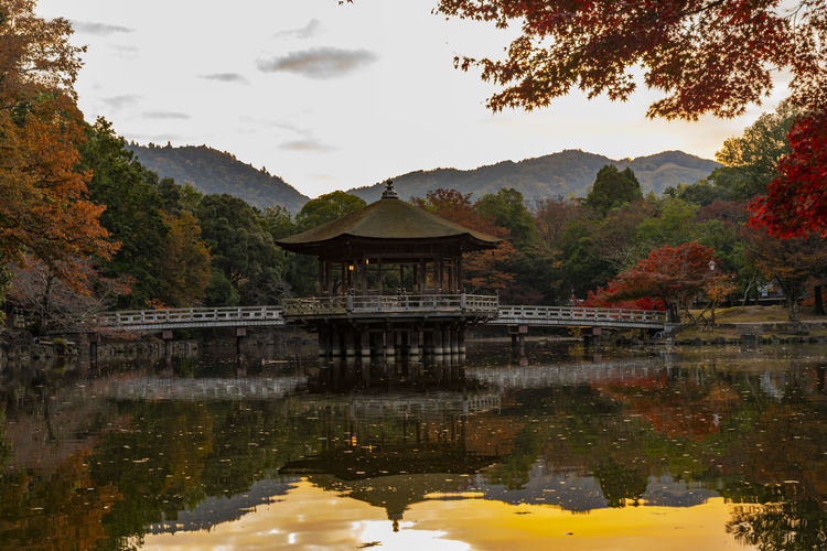 Nara park nara park reflection of the autumn leaves seasonal ukimido