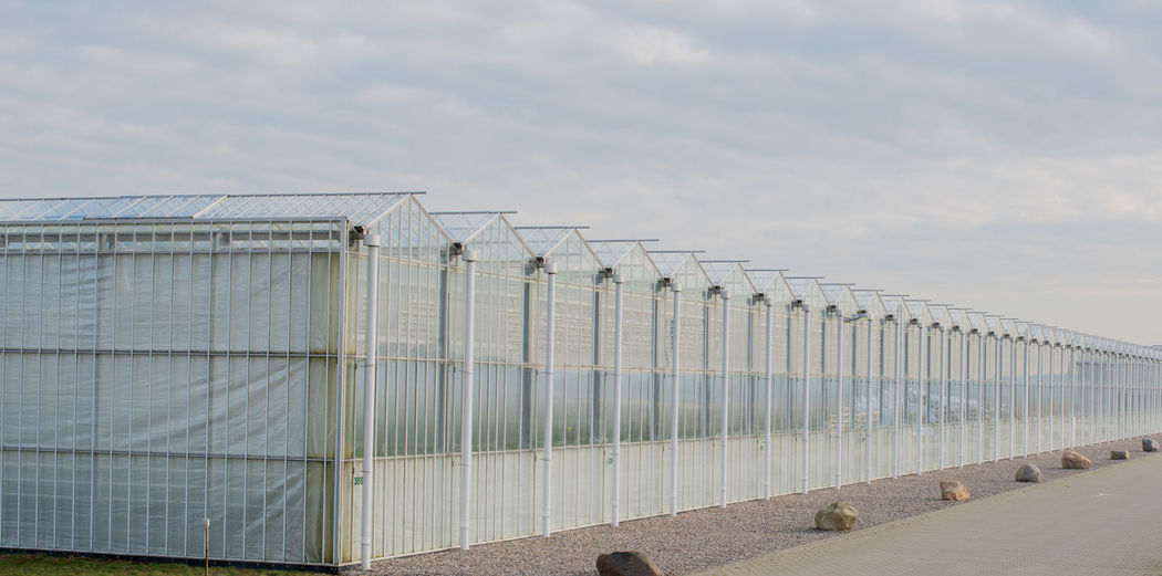 Greenhouse for growing vegetables such as tomatoes and peppers