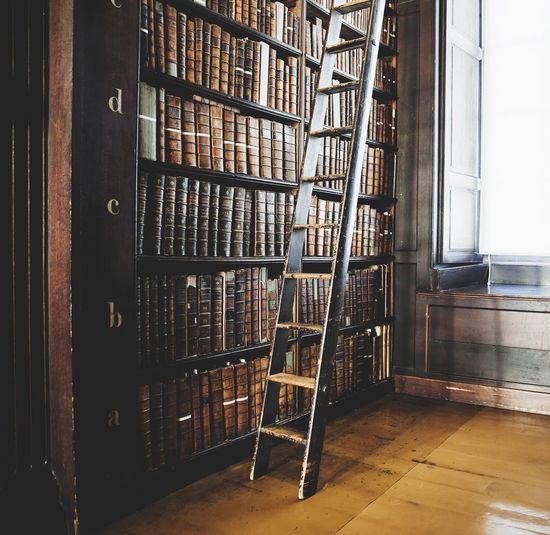 Bookshelves with ladder