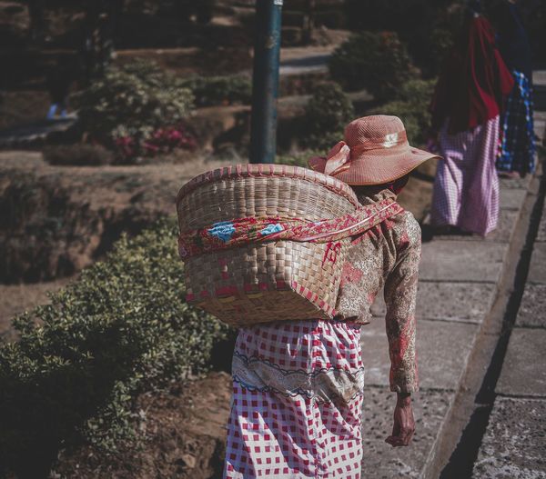 Rear view of woman holding umbrella