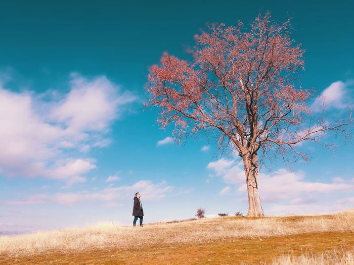 Man walking on field by bare tree against blue sky