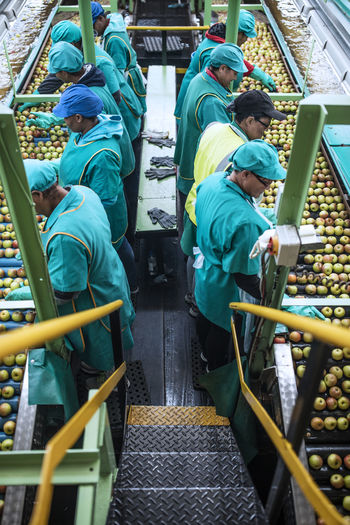 Women working in apple factory