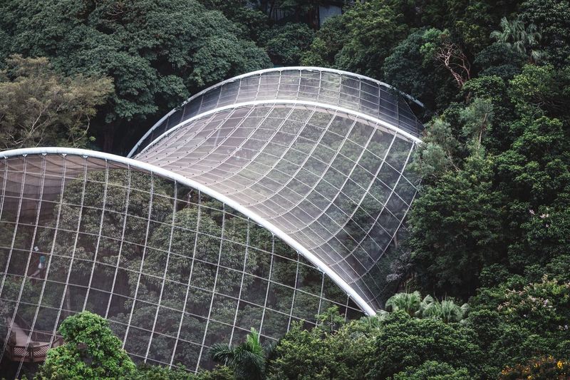 High angle view of greenhouse in rainforest