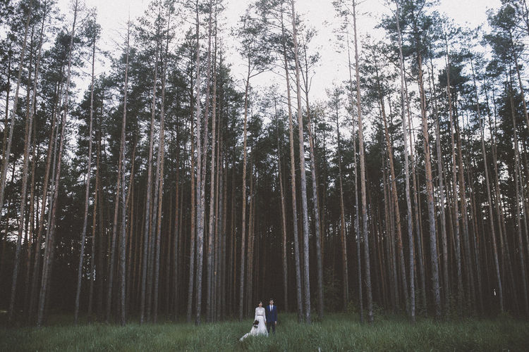 People walking in forest