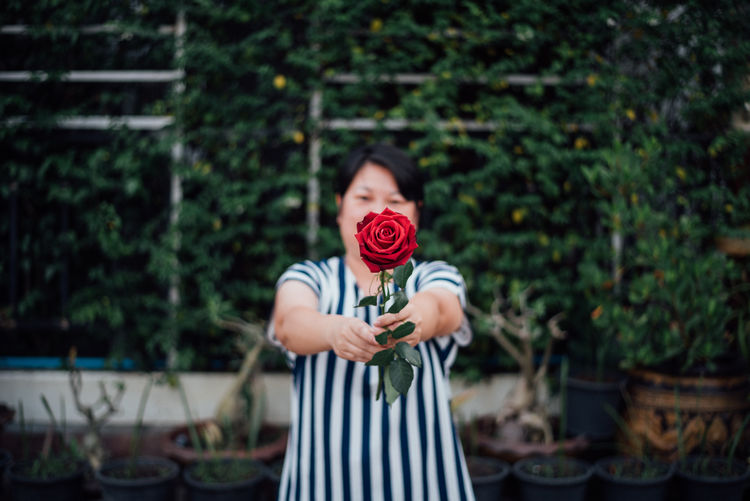 Mature woman holding red rose while standing at backyard