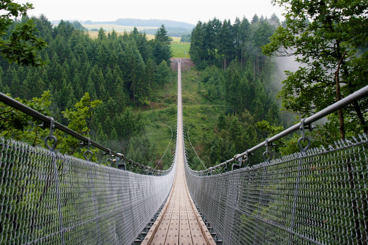 Geierlay suspension bridge in the german region of hunsrück early in the morning