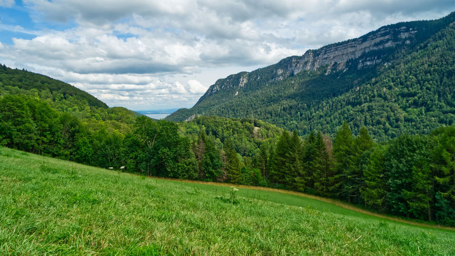 Scenic view of landscape and mountains against sky