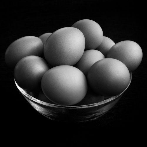 Window light eggs portrait
