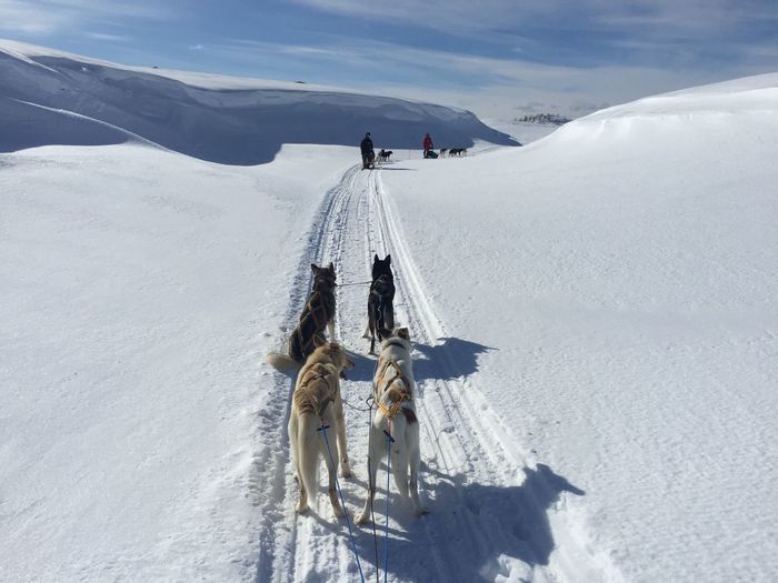 People on snow covered landscape against sky