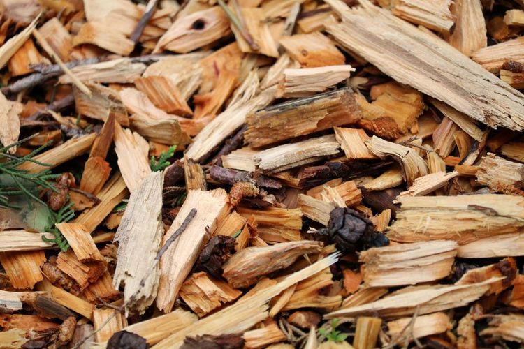 Close-up of wood chips on field
