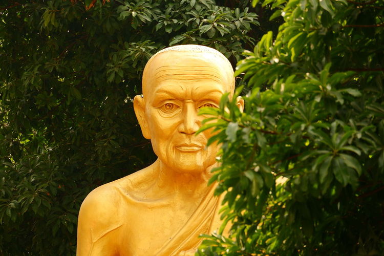 Close-up of statue against tree