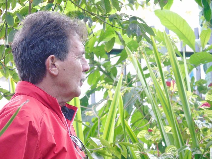 Man looking away while standing by plants