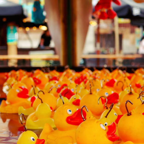 Toy ducks with hooks at amusement park