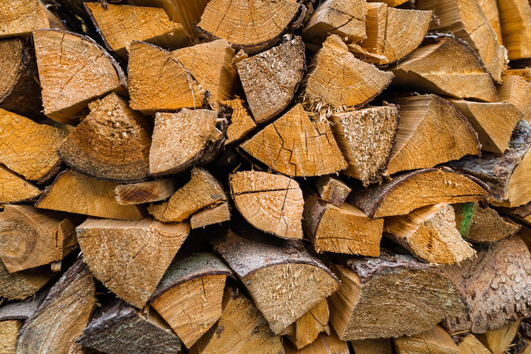 Full frame shot of logs in forest