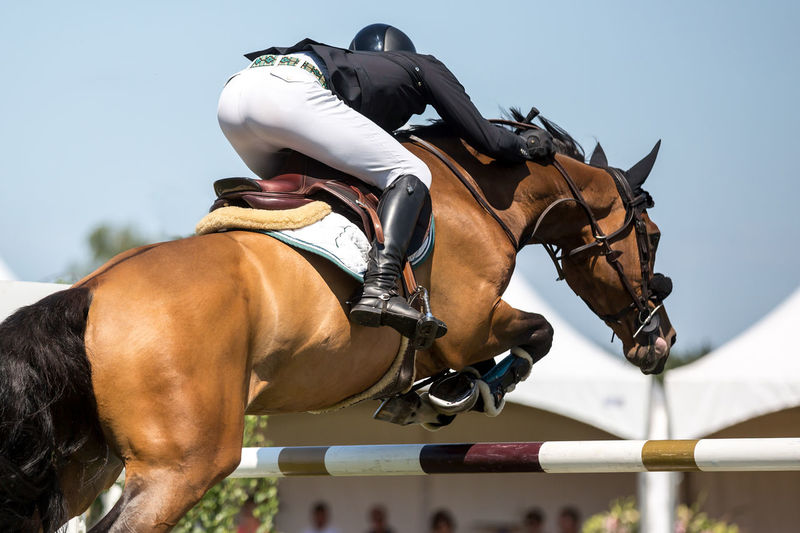 Jockey horseback riding over obstacle